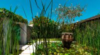 Villa Capung Bali Lilypond Garden